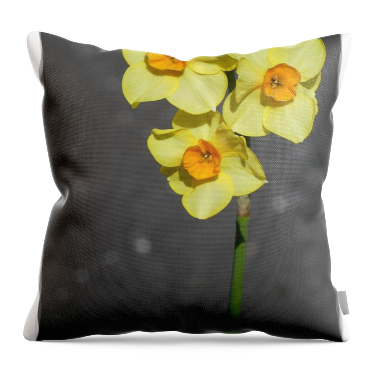 Digital Art Throw Pillow featuring the photograph Yellow Flowers 4 by Jean Bernard Roussilhe