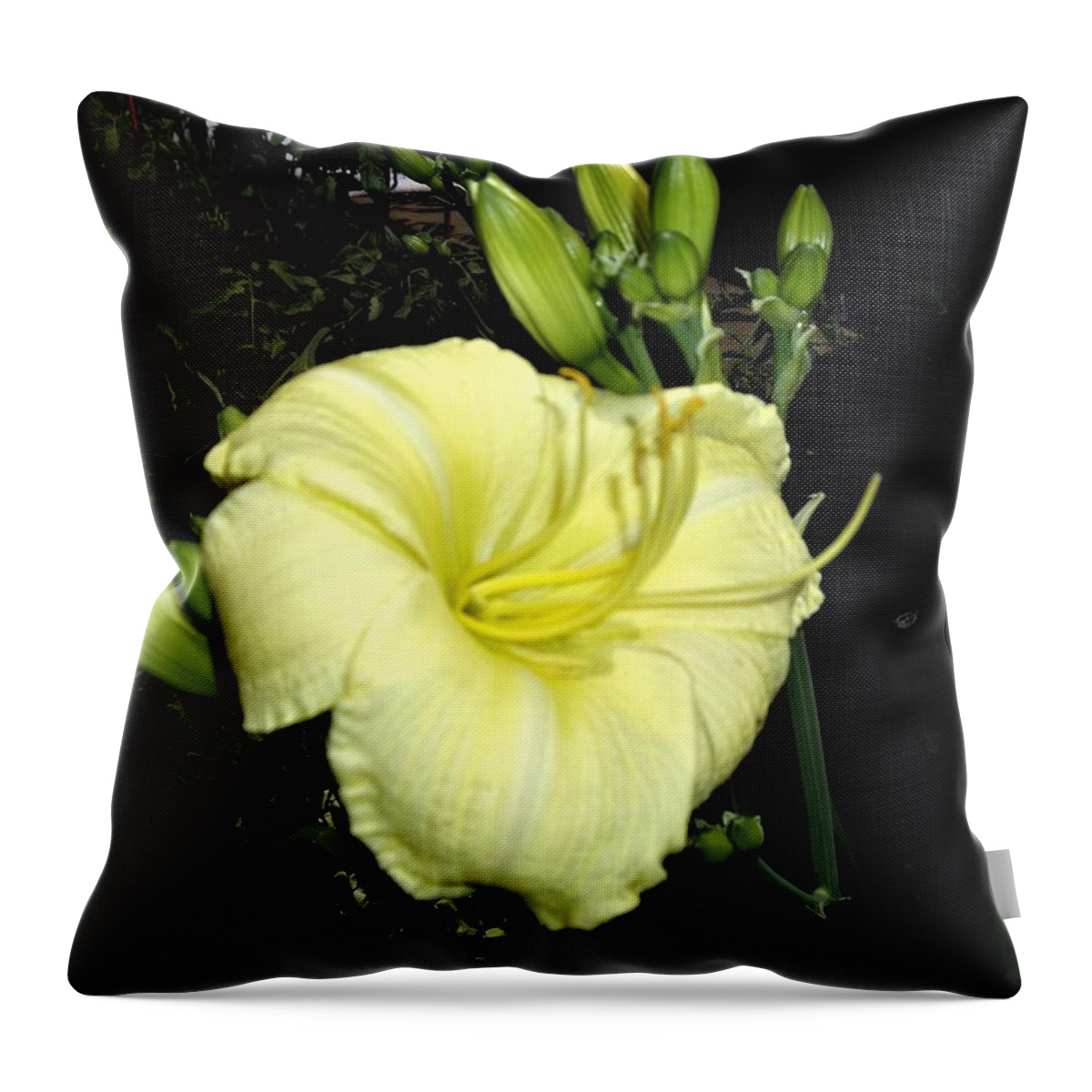 Lily Throw Pillow featuring the photograph Yellow Lily by Nancy Ayanna Wyatt