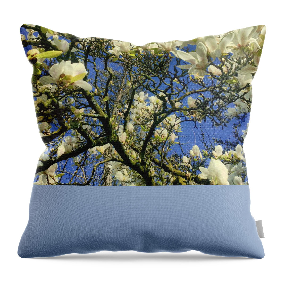 Flowers Throw Pillow featuring the photograph Yellow Magnolia Blossoms by Richard Cummings
