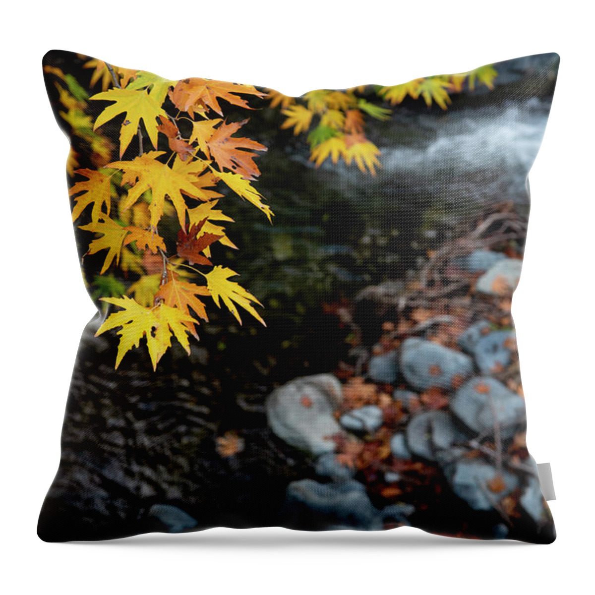 Autumn Throw Pillow featuring the photograph Yellow maple leaves on a tree above a river from the beautiful by Michalakis Ppalis
