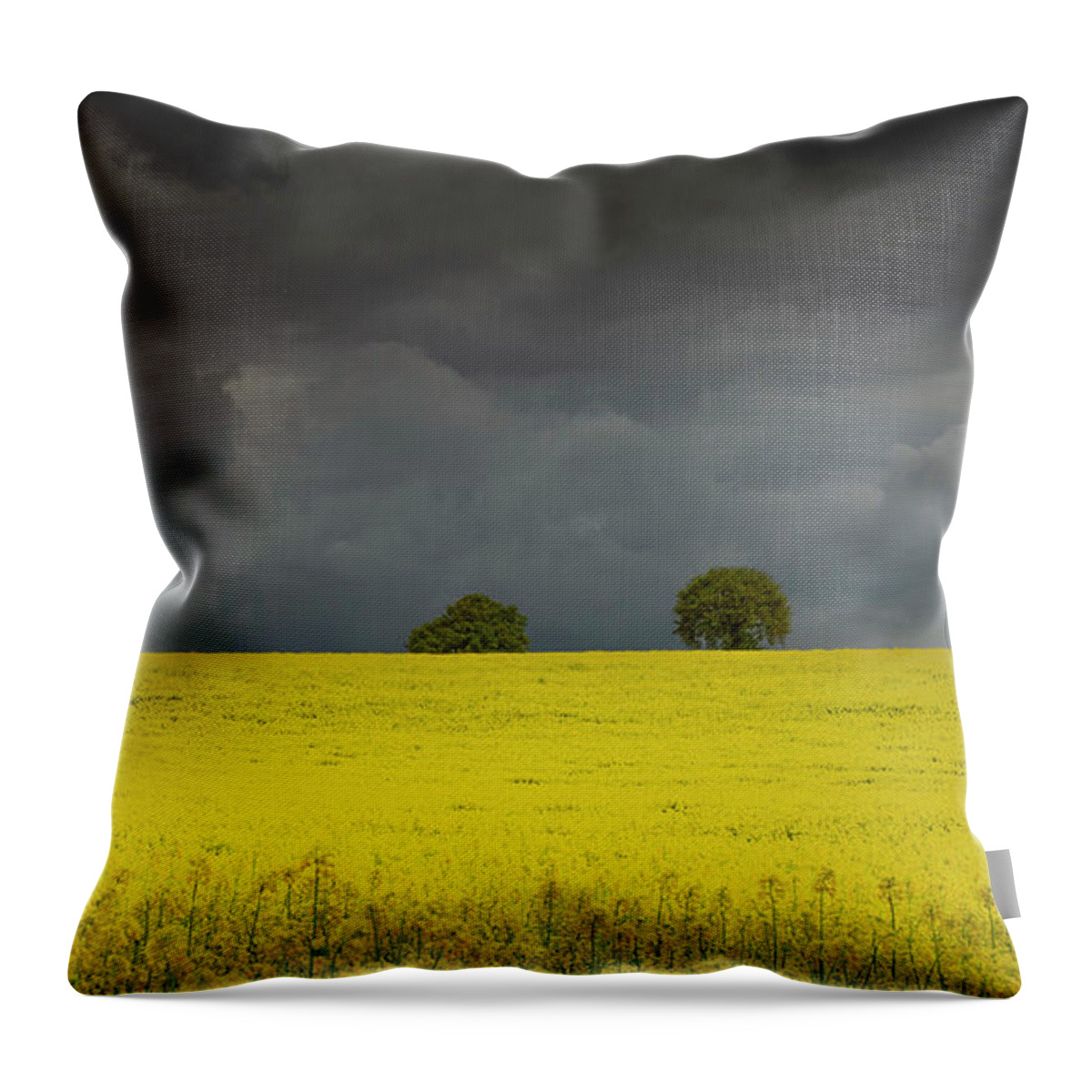 Landscape Throw Pillow featuring the photograph Yellow ocean 2 by Remigiusz MARCZAK