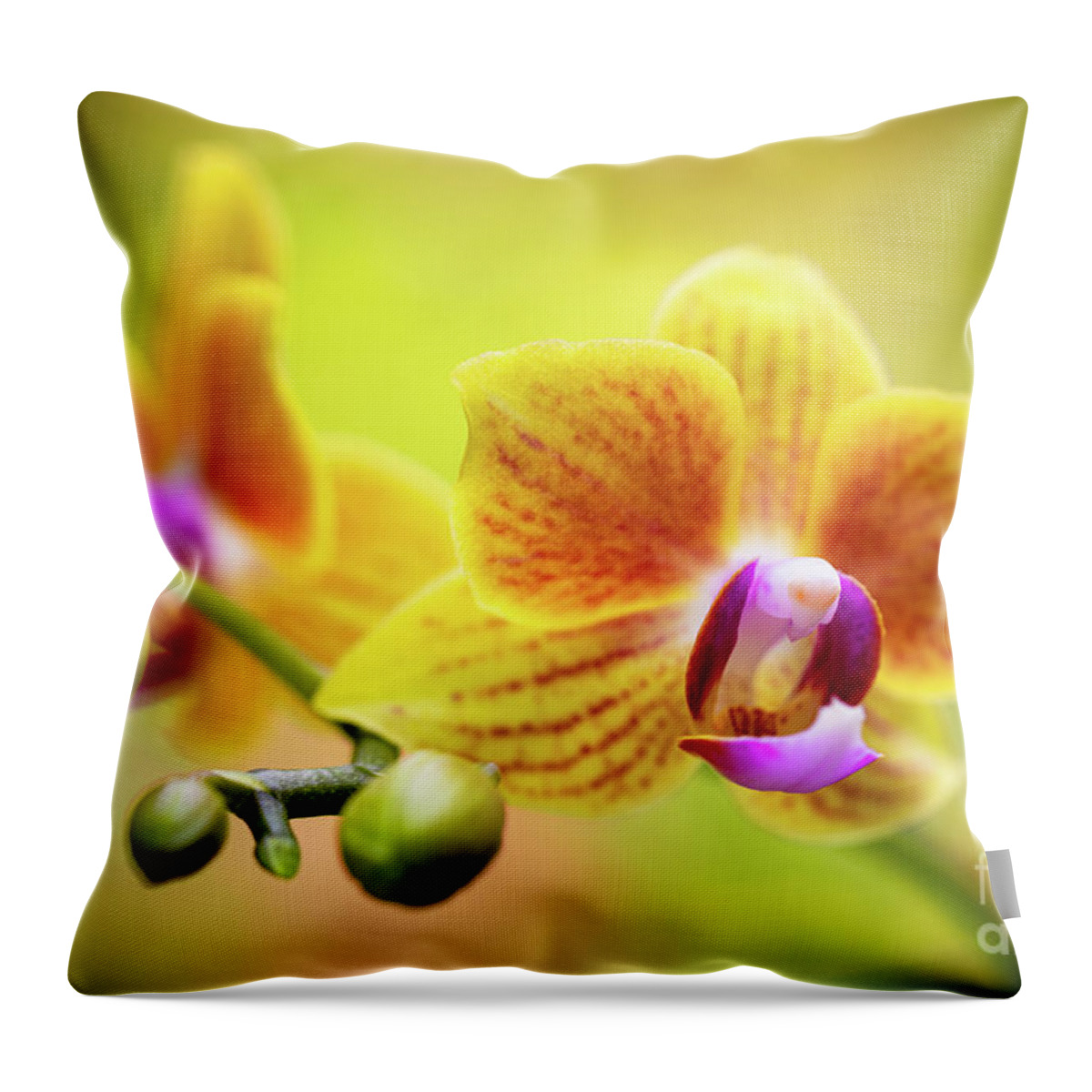 Background Throw Pillow featuring the photograph Yellow Orchid Flowers by Raul Rodriguez
