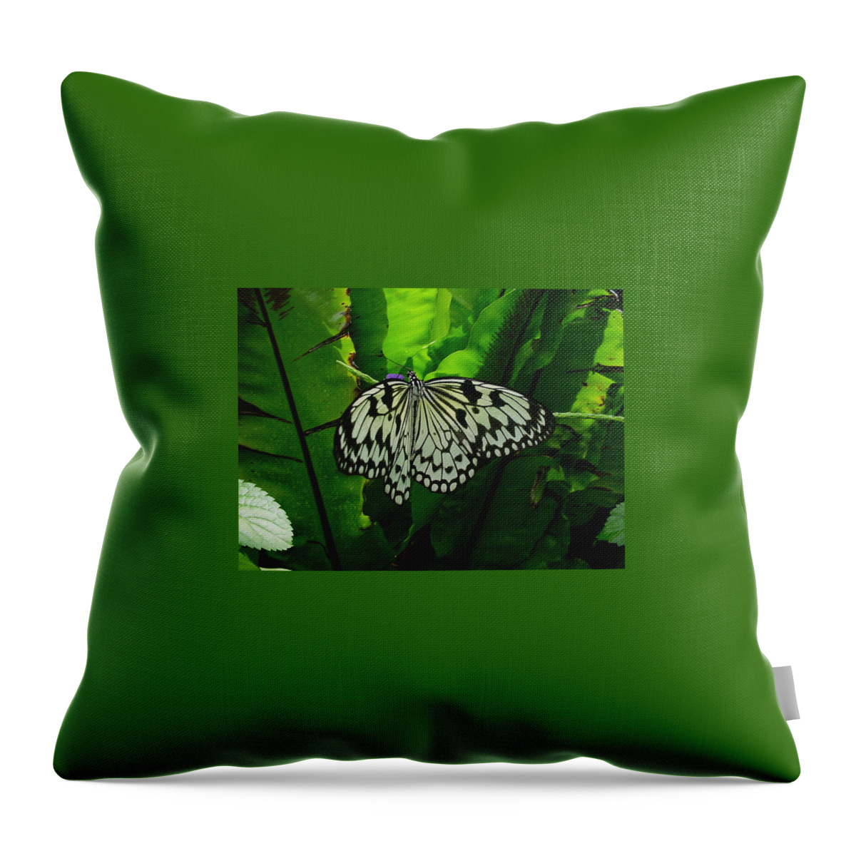 Butterflies Throw Pillow featuring the photograph Yellow Painted Lady Butterfly by Pour Your heART Out Artworks