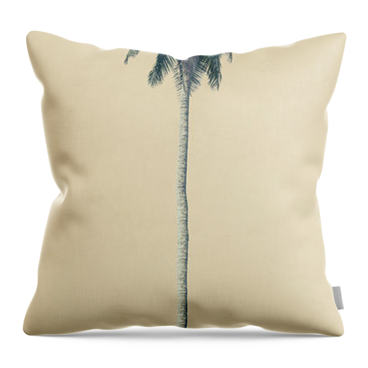 Palm Throw Pillow featuring the photograph Yellow Palm by Andrew Paranavitana