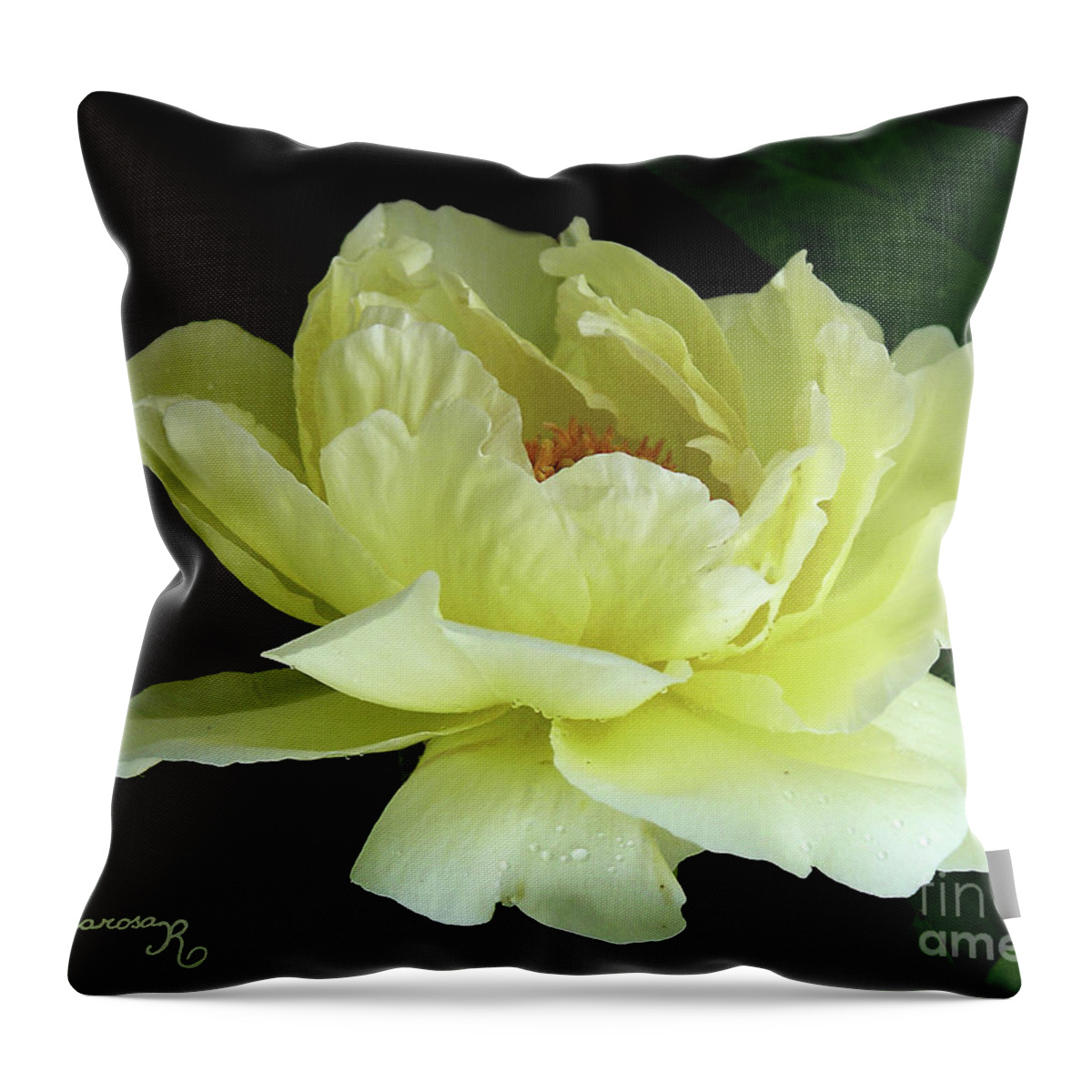 Nature Throw Pillow featuring the photograph Yellow Peony by Mariarosa Rockefeller