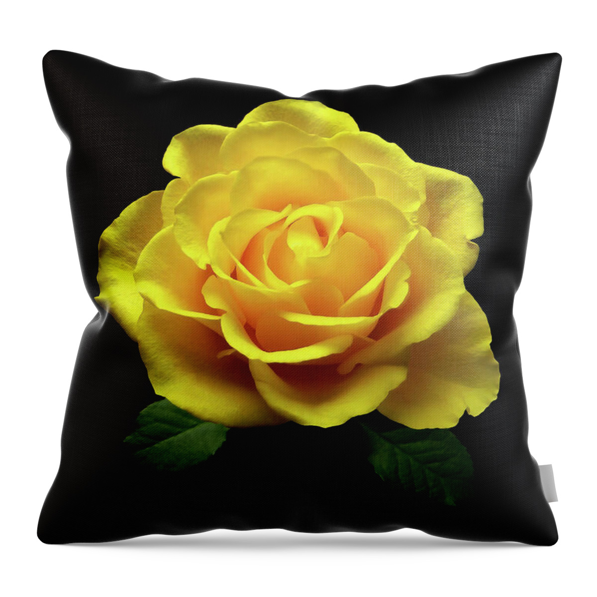 Rose Throw Pillow featuring the photograph Yellow Rose 6 by Johanna Hurmerinta