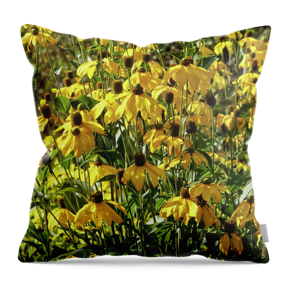 Yellow Throw Pillow featuring the photograph Yellow Rudbeckia by Jeff Townsend