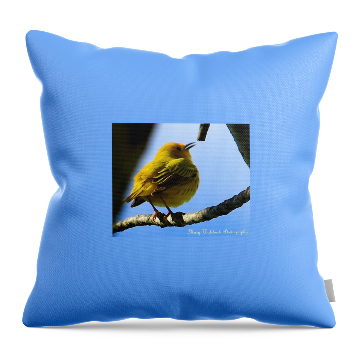 Yellow Warbler Throw Pillow featuring the photograph Yellow Warbler Singing in the Spotlight by Mary Walchuck