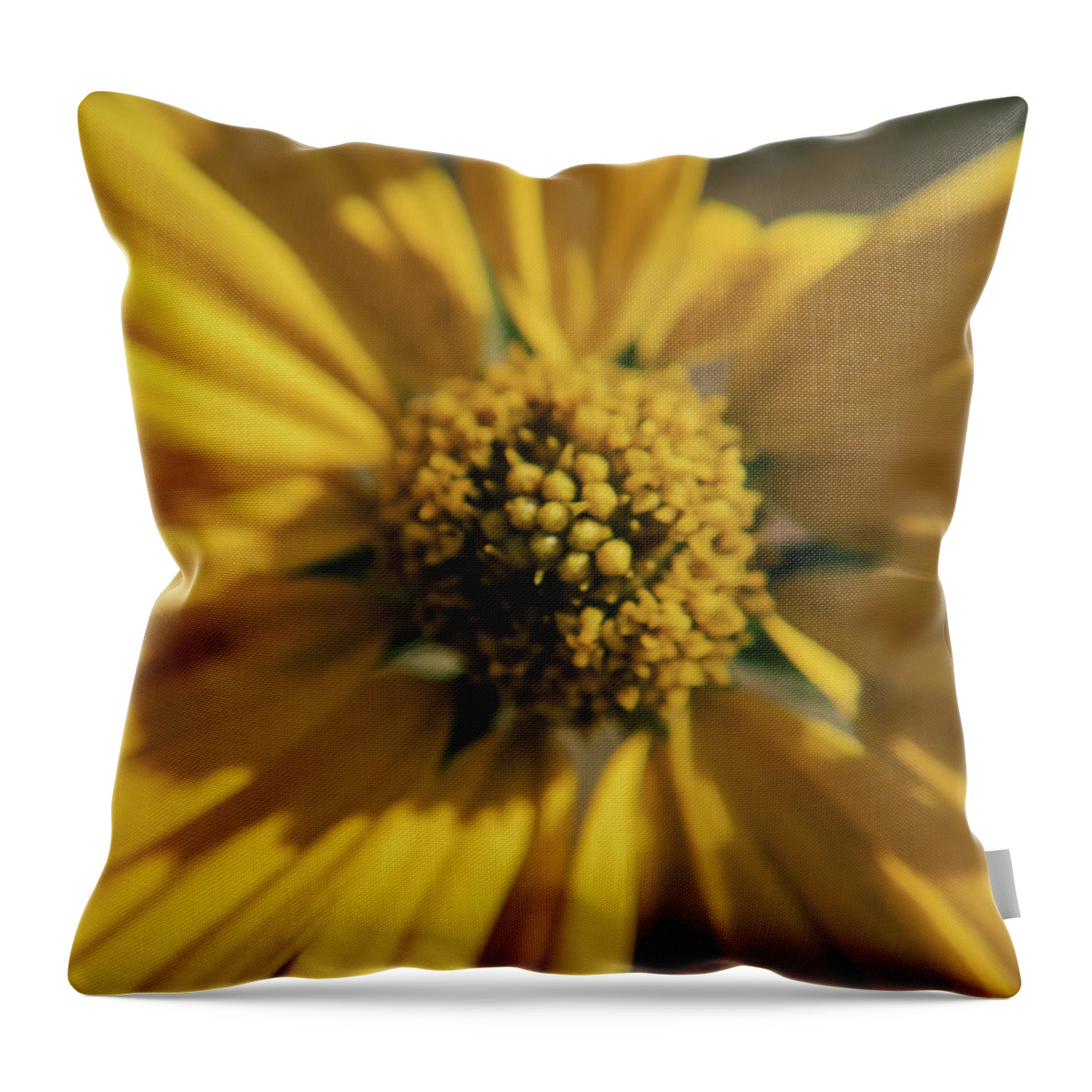 Wildflower Throw Pillow featuring the photograph Yellow Wildflower Macro by K Bradley Washburn