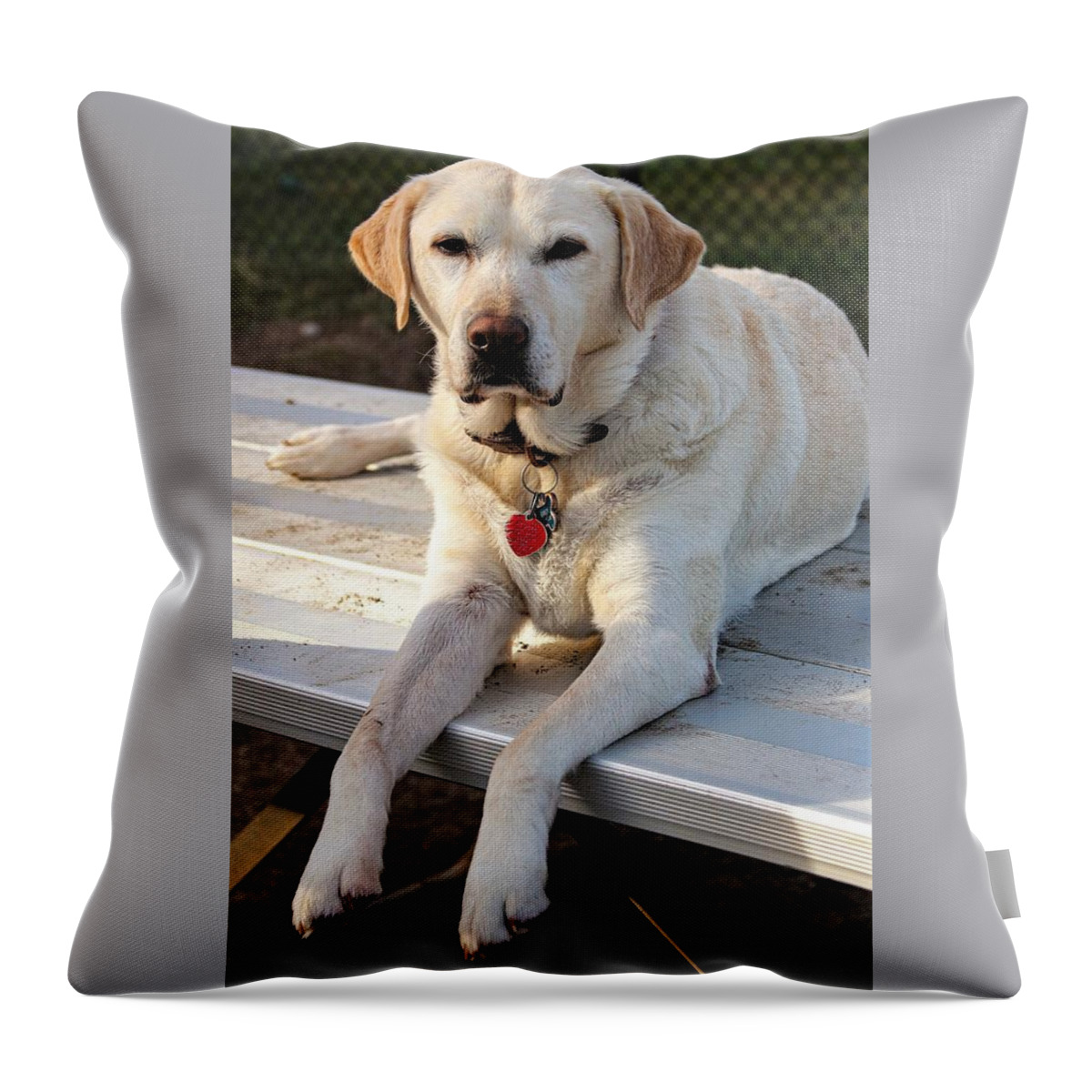 Dog Throw Pillow featuring the photograph Yellow3 by John Linnemeyer