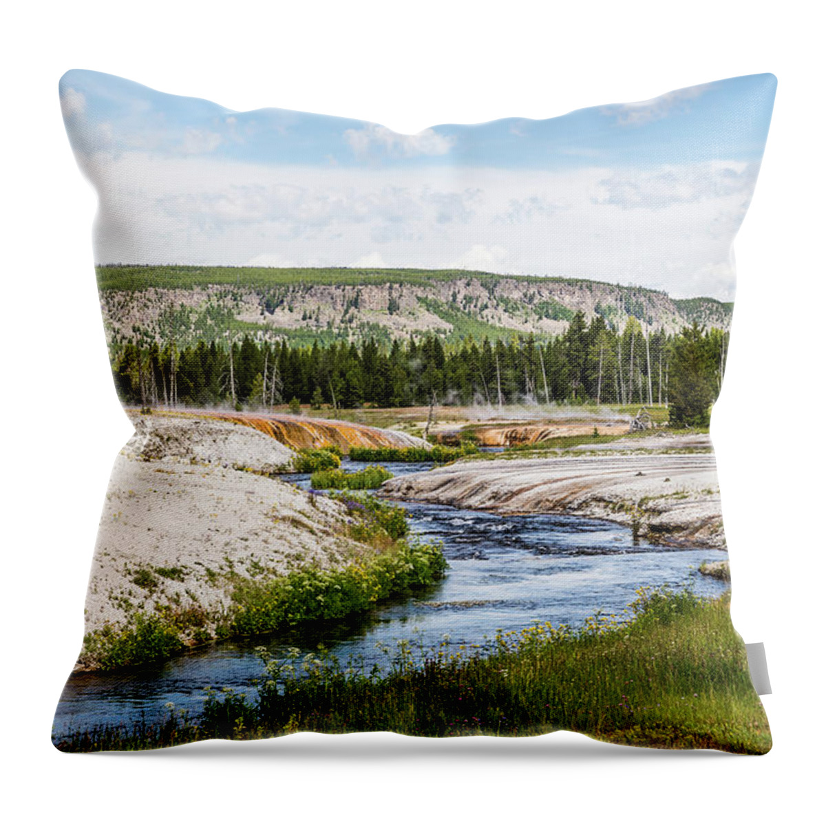  Yellow Stone National Park Throw Pillow featuring the photograph Yellowstone National Park 2 by Joe Granita
