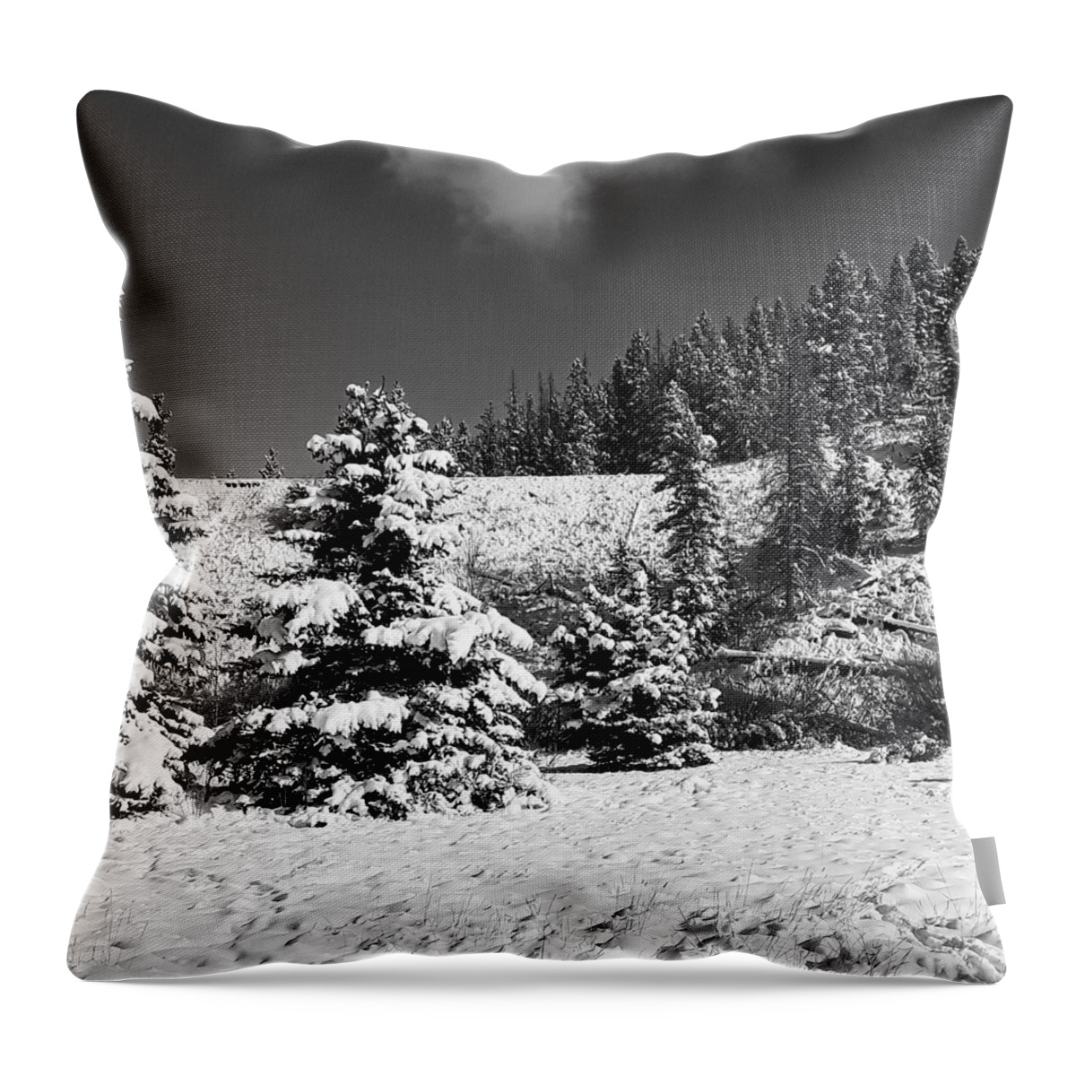 National Park Throw Pillow featuring the photograph Yellowstone Winter by Bill Hamilton
