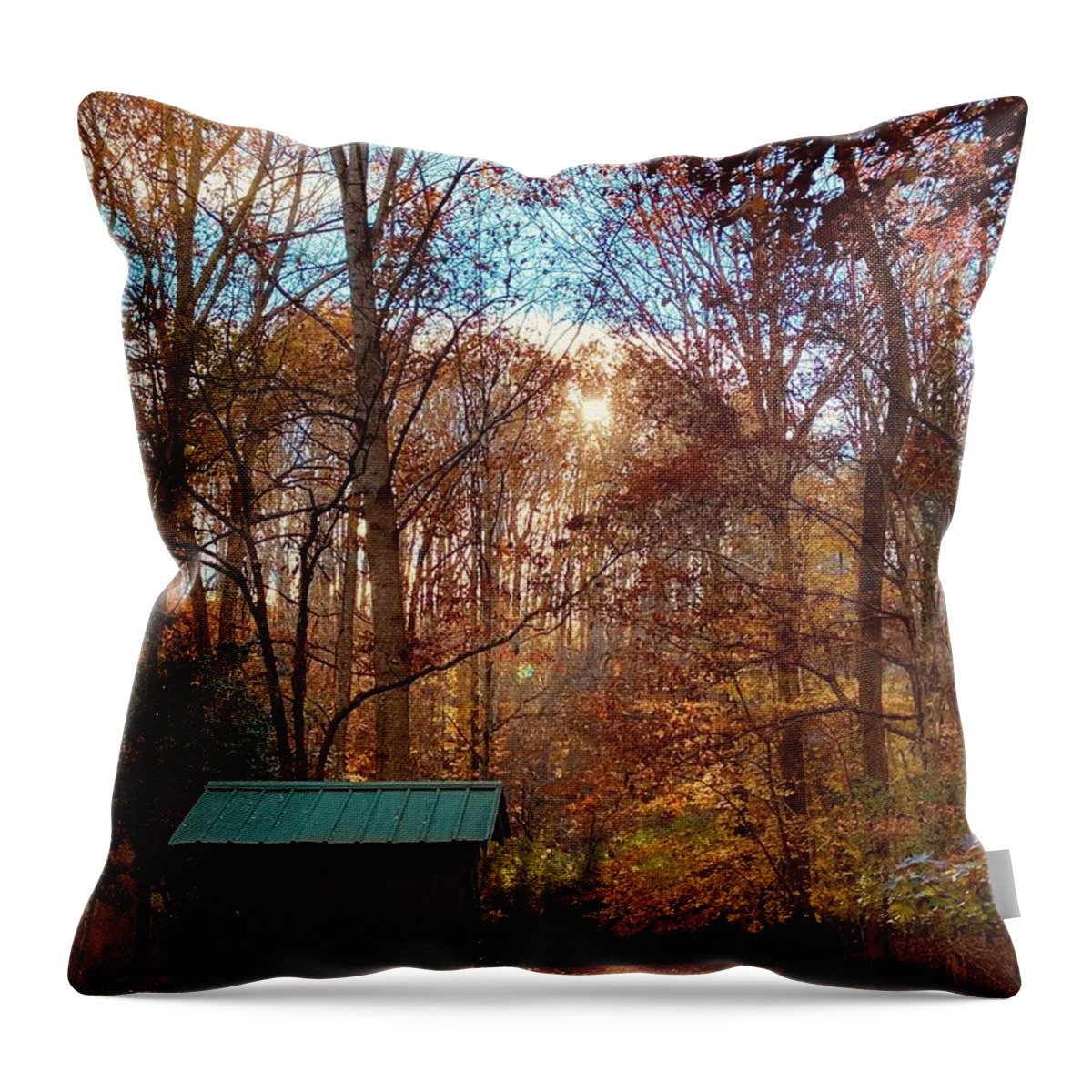 Fall Throw Pillow featuring the photograph Yesterdays autumn dream by Jason Bohannon