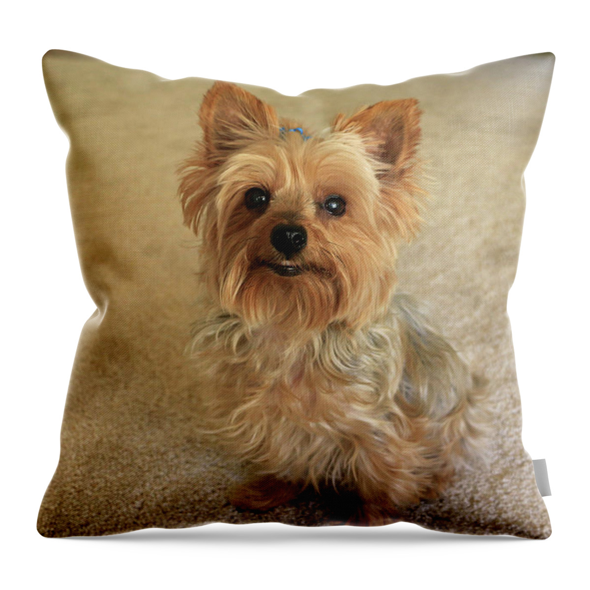 Animal Throw Pillow featuring the photograph Yorkie with a smile by Dawn Richards