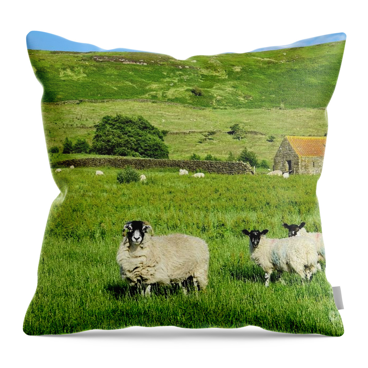 Yorkshire Moors Throw Pillow featuring the photograph Yorkshire Moorland Summer by Martyn Arnold