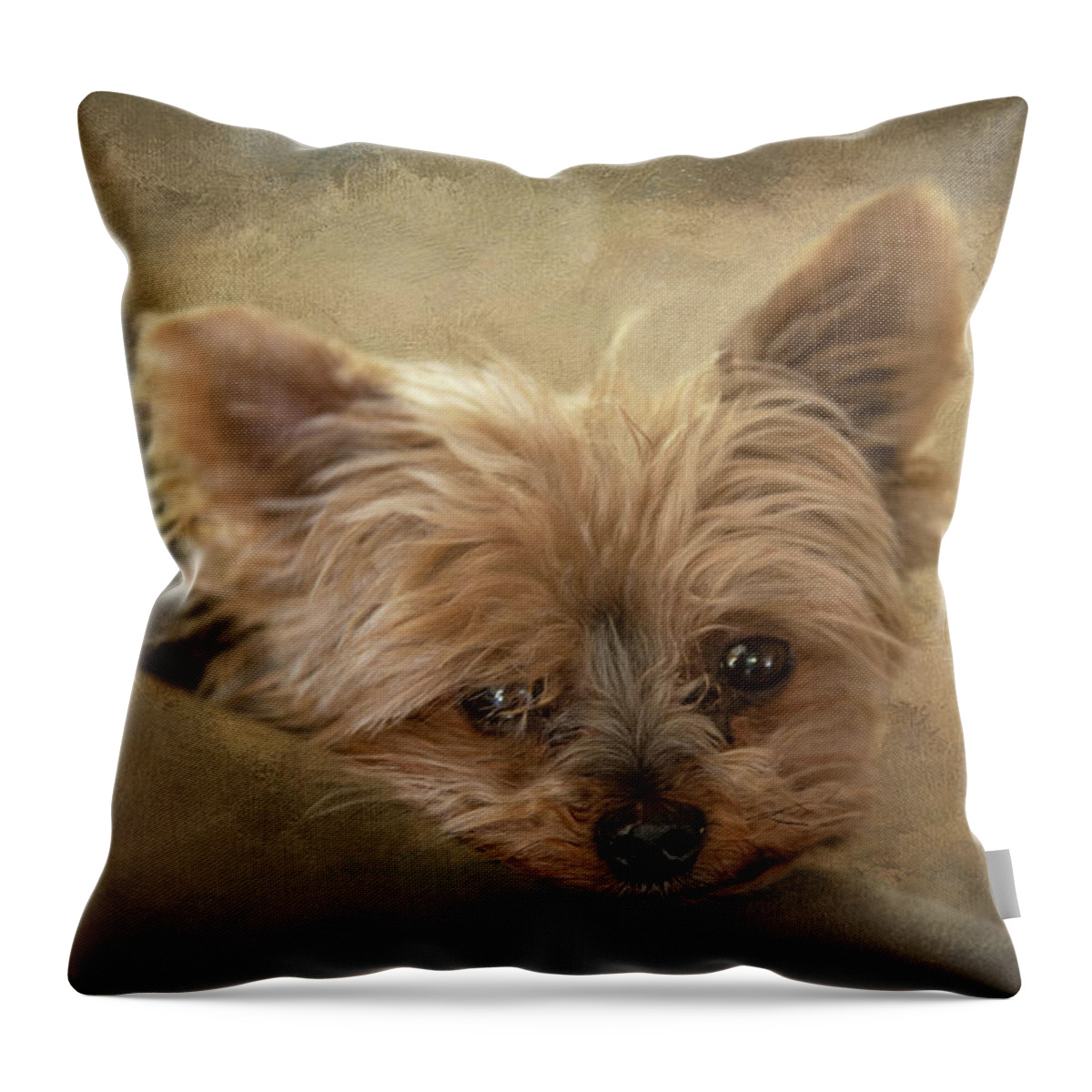 Yorkie Throw Pillow featuring the photograph Yorkshire Terrier by Elisabeth Lucas