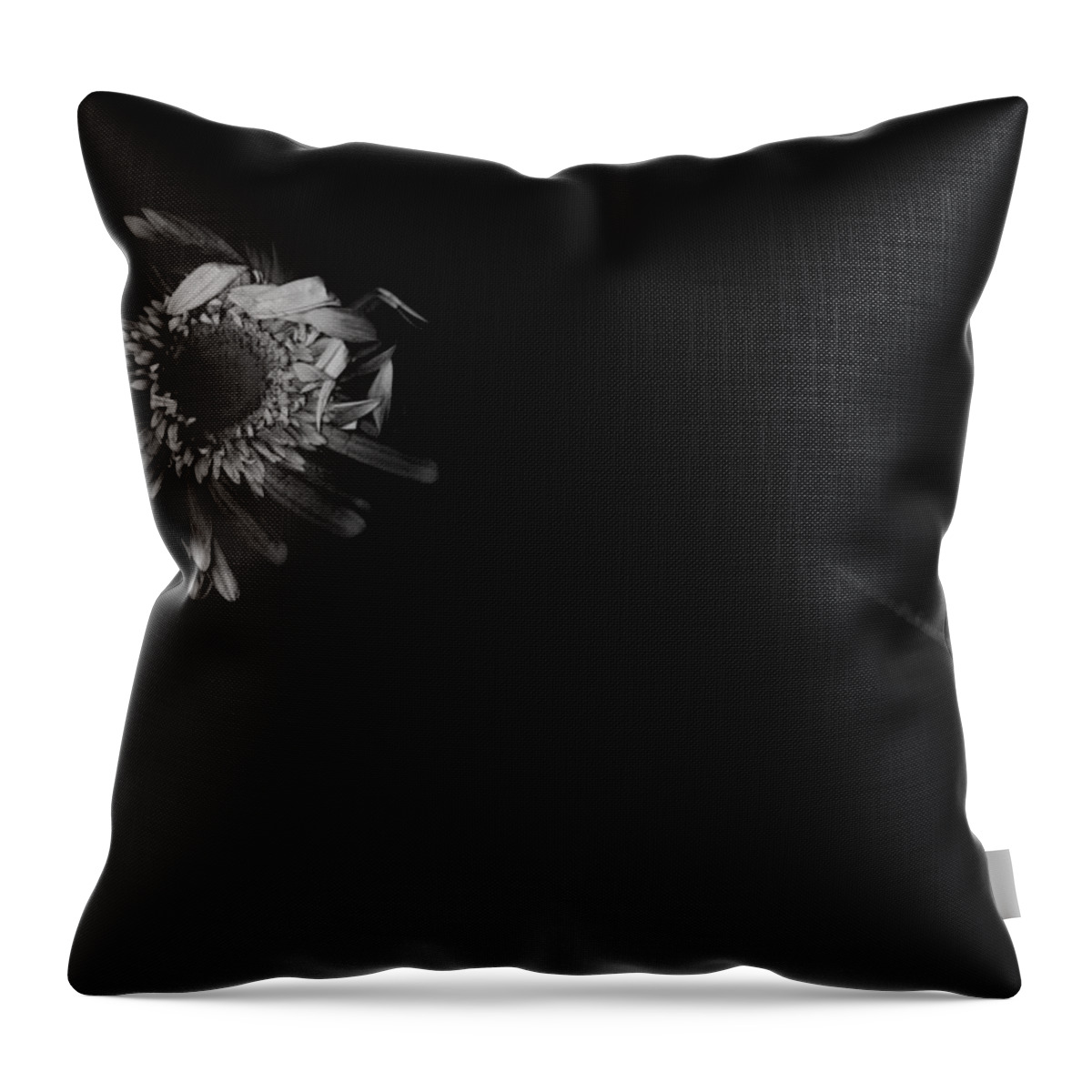 Flower Throw Pillow featuring the photograph You Already Know by Mark Ross