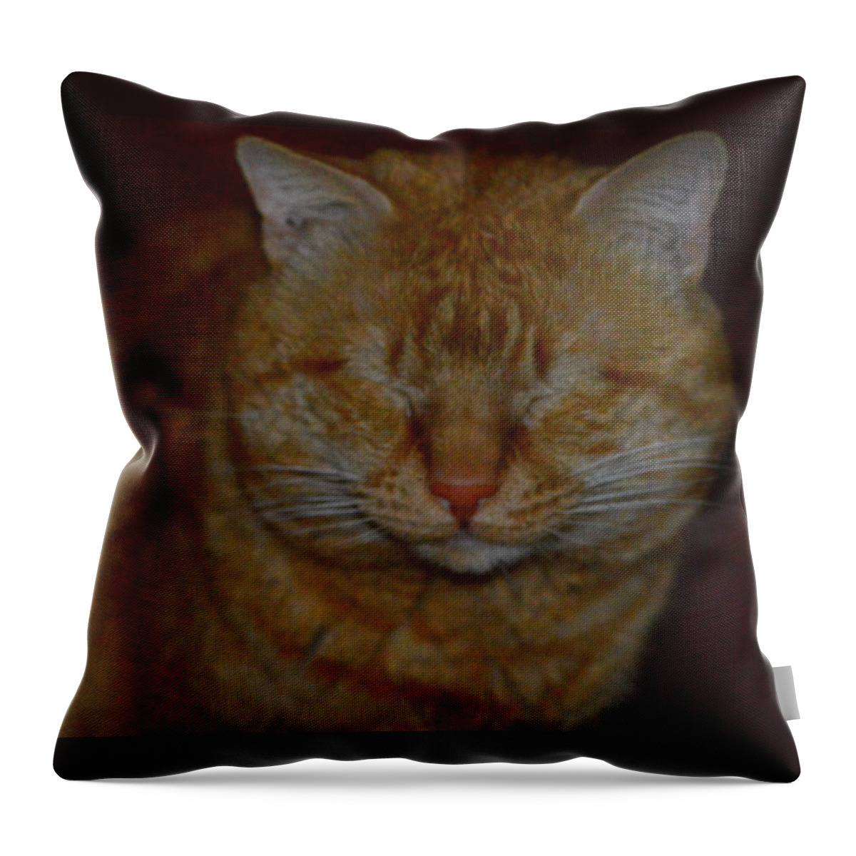 Cat Throw Pillow featuring the photograph You can't see me by Stacie Siemsen