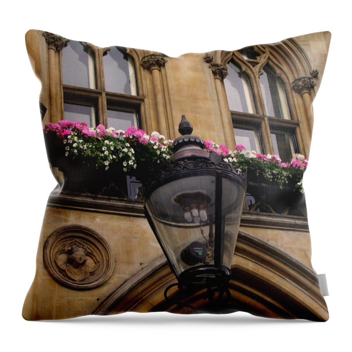Canada Throw Pillow featuring the photograph You Light Me Up by Mary Mikawoz