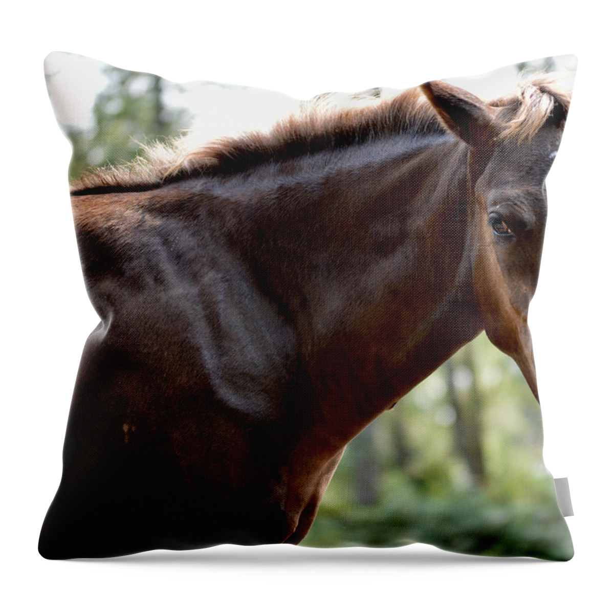 Searching Throw Pillow featuring the photograph Where's Mama? by Listen To Your Horse