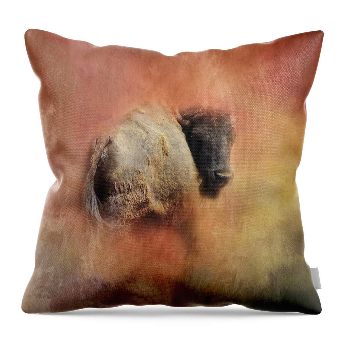 Buffalo Throw Pillow featuring the photograph Young Buffalo by Marjorie Whitley