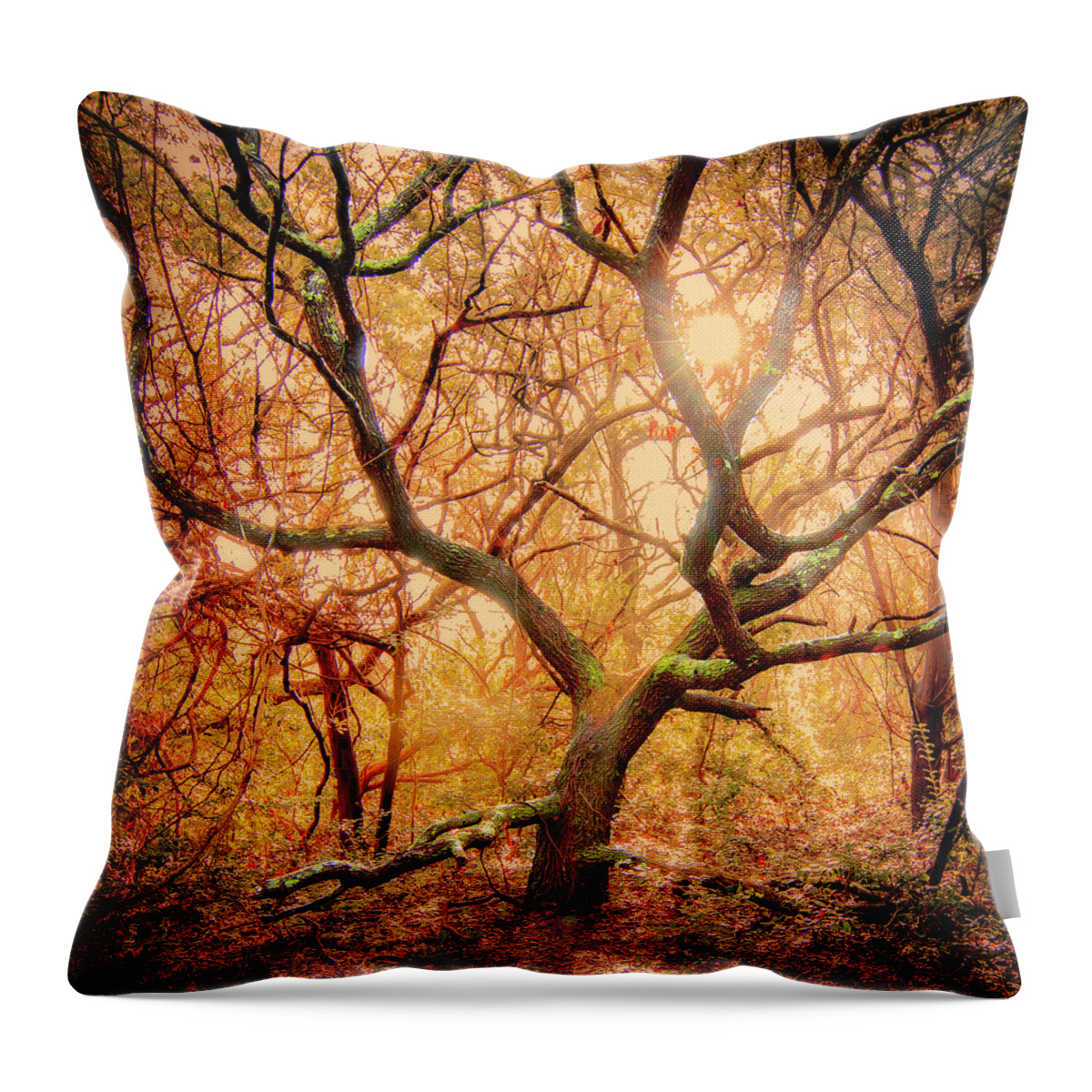Live Oak Tree Throw Pillow featuring the photograph Young LIve Oak Tree in the Maritime Forest of the Crystal Coast by Bob Decker