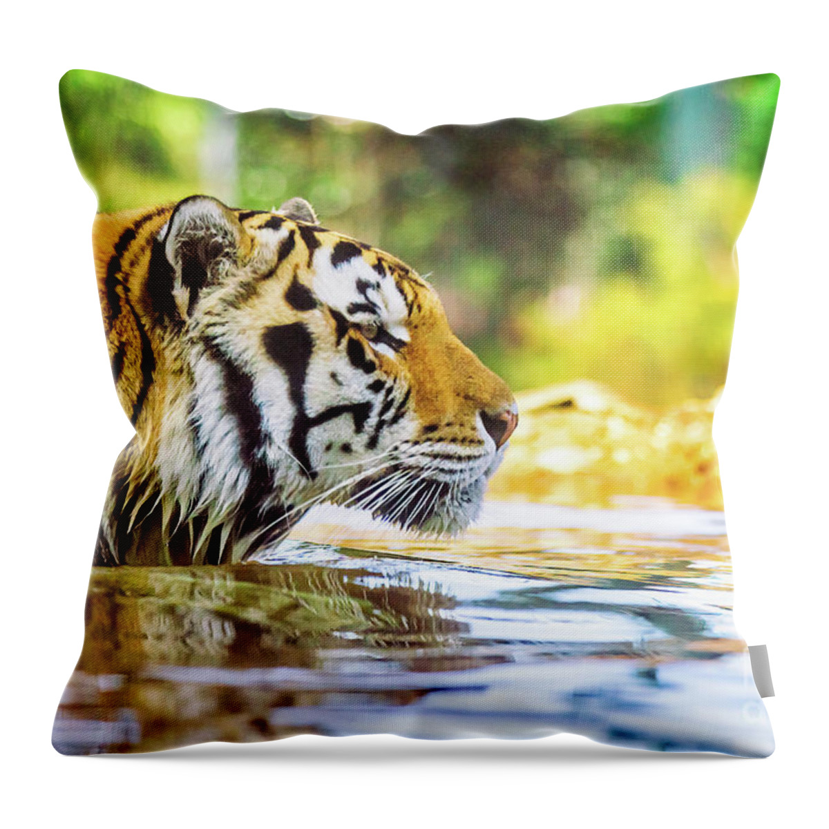 Mike Throw Pillow featuring the photograph You're Mine by Scott Pellegrin