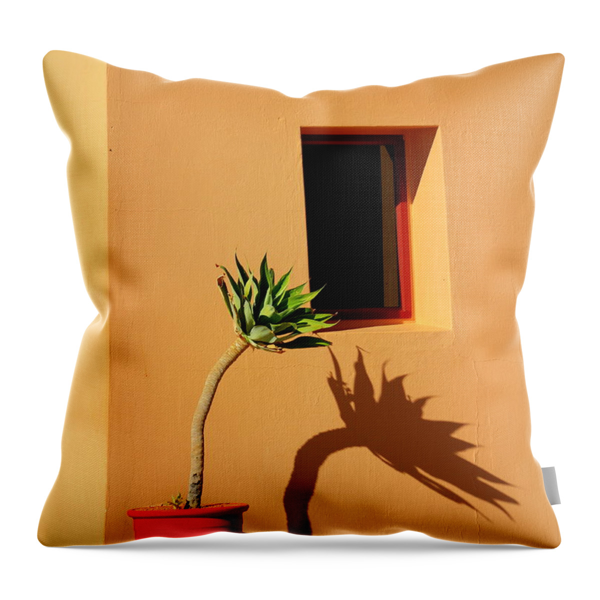 Yucca Throw Pillow featuring the photograph Yucca by Gene Taylor