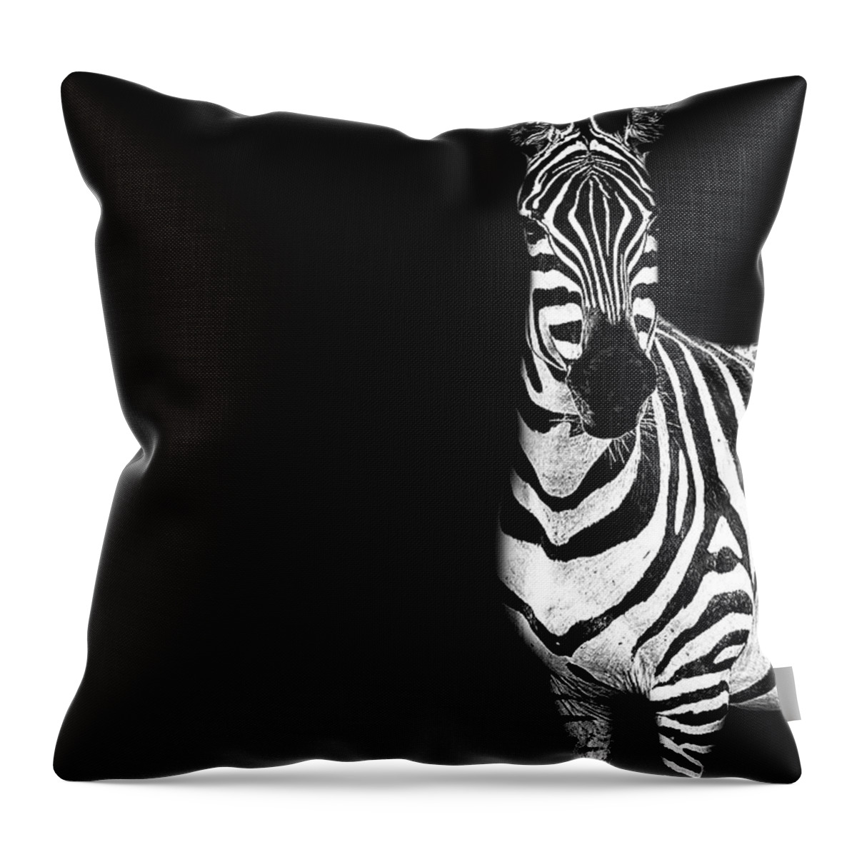 Zebras Throw Pillow featuring the photograph Zebra Drama by Kay Brewer