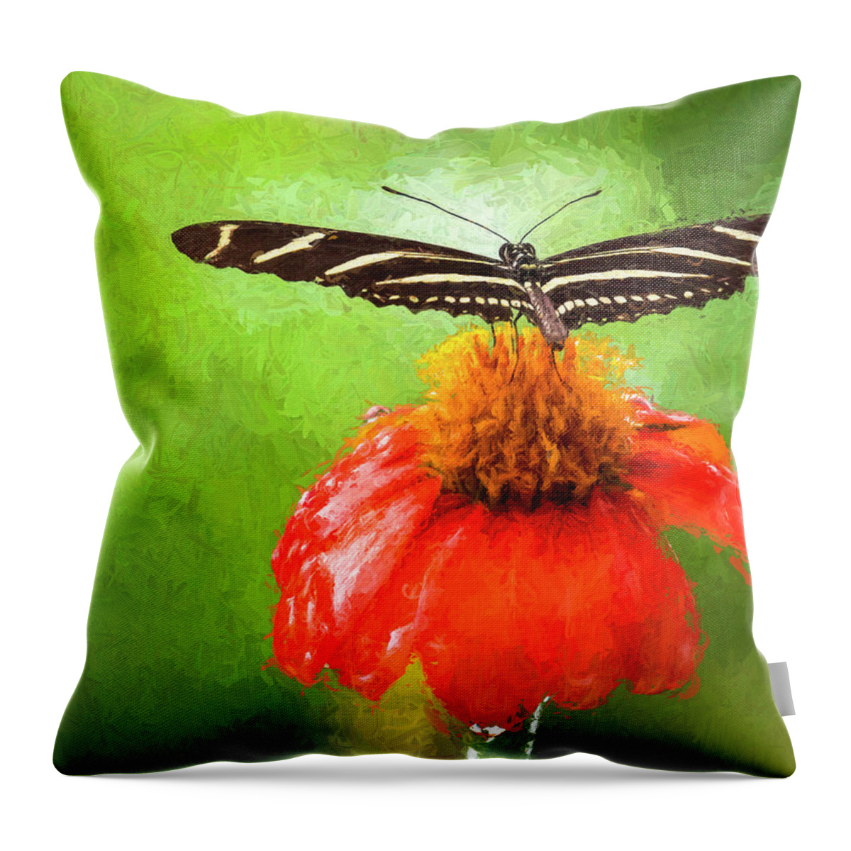 Butterfly Throw Pillow featuring the photograph Zebra Longwing by Ginger Stein
