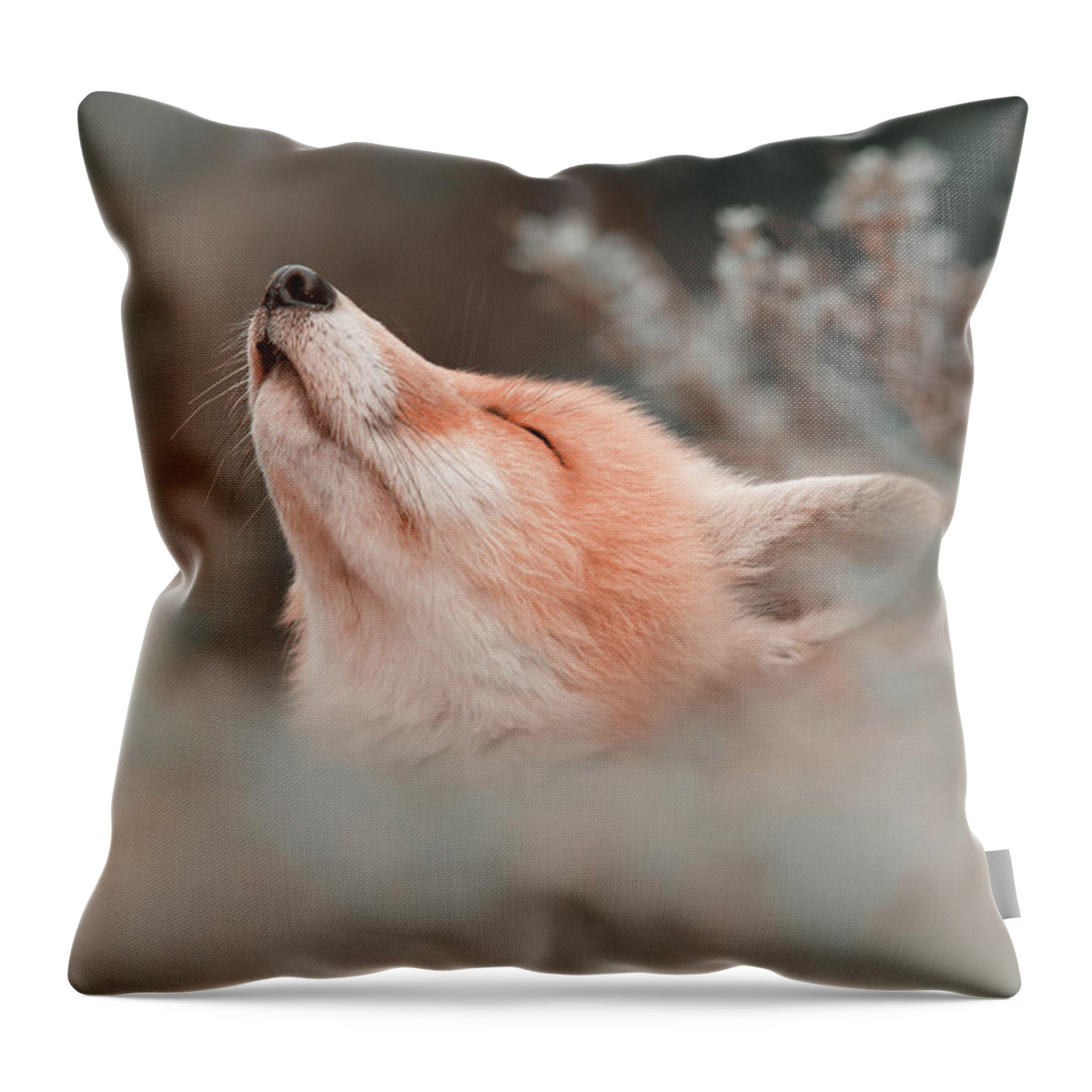 Fox Kit Throw Pillow featuring the photograph Zen Fox Series - Ease Your Mind by Roeselien Raimond