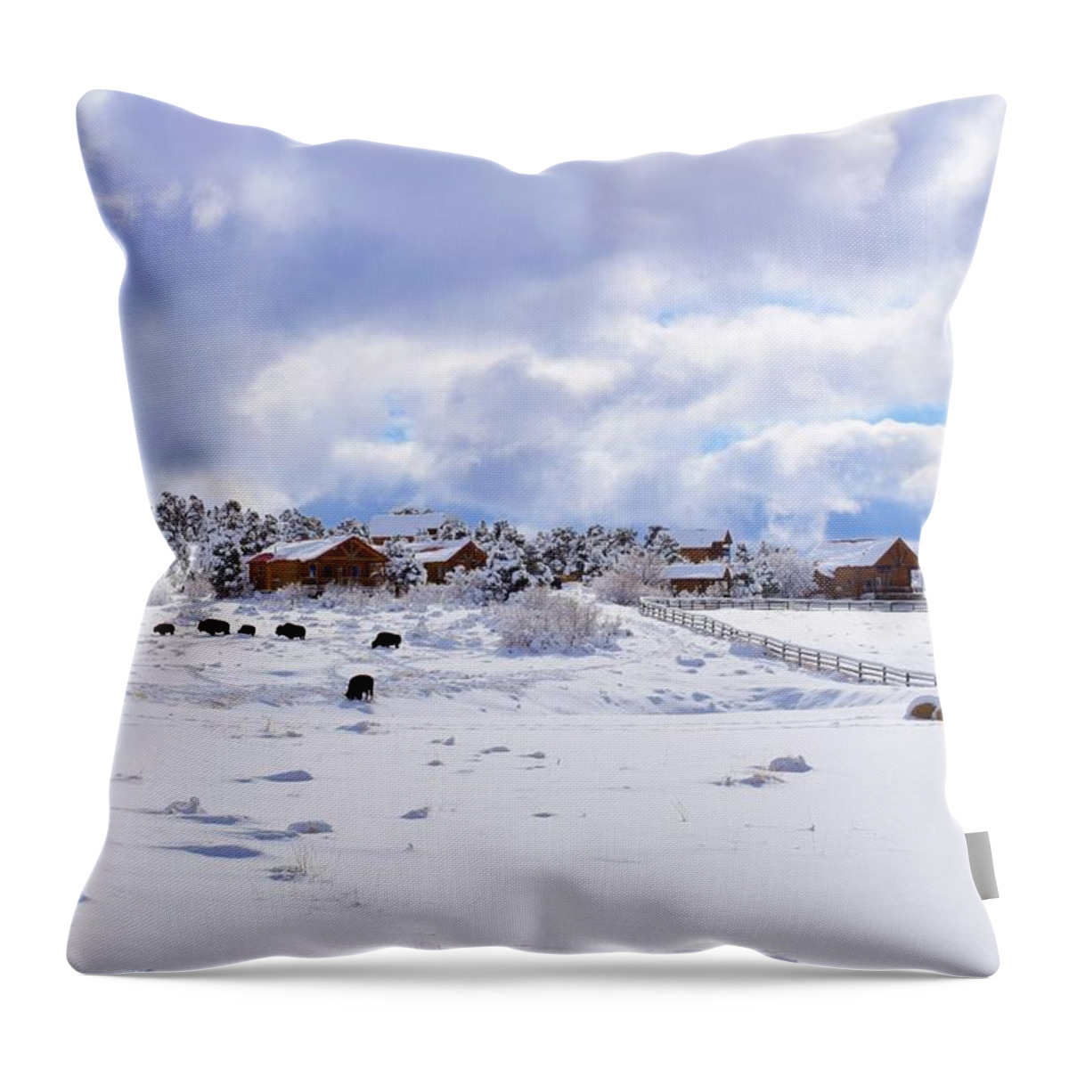 Zion Throw Pillow featuring the photograph Snow Farmhouse Zion by Bnte Creations