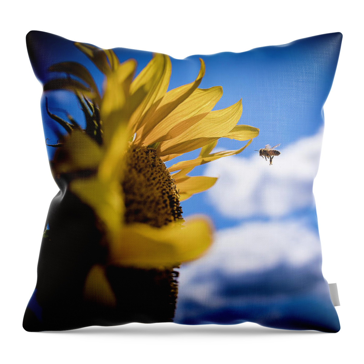  Throw Pillow featuring the photograph Zooming Bee by Nicole Engstrom