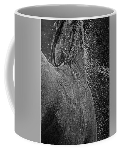 Horse Coffee Mug featuring the photograph Horse Cool Off by Phil Cardamone