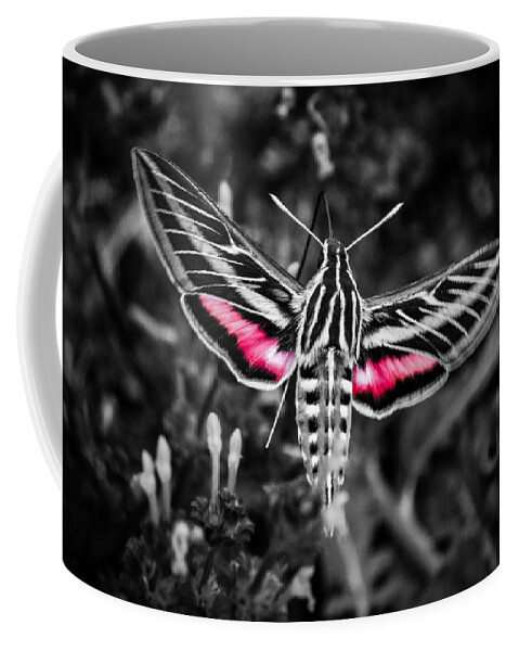  White-lined Sphinx Coffee Mug featuring the photograph Hummingbird Moth BW Print by Doug Long