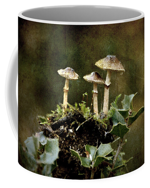 Mushrooms Coffee Mug featuring the photograph Little mushrooms by RicardMN Photography