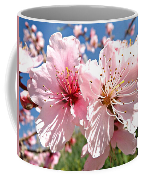 Peach Coffee Mug featuring the photograph Peach Blossom by Clare Bevan