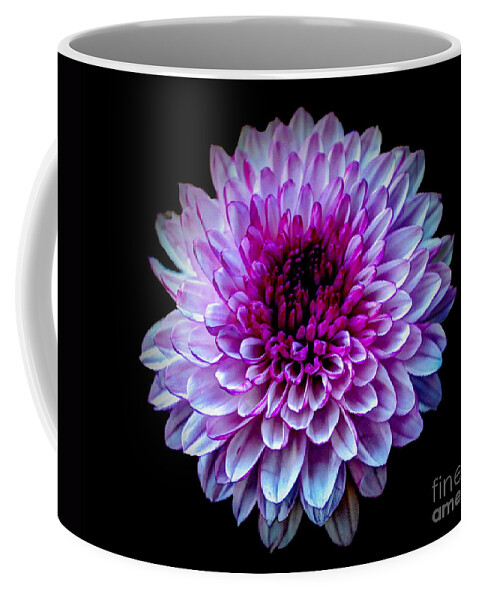 Nature Coffee Mug featuring the photograph Purple On Black by Michelle Meenawong