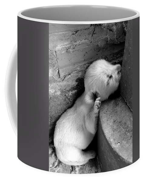 Michelle Meenawong Coffee Mug featuring the photograph Sleep Well by Michelle Meenawong