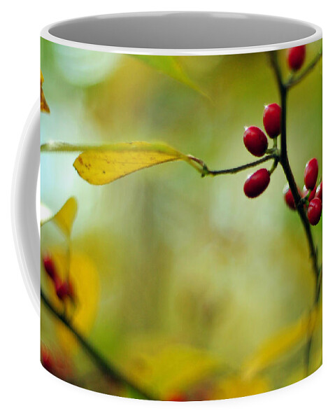 Lindera Benzoin Coffee Mug featuring the photograph Spicebush with Red Berries by Rebecca Sherman