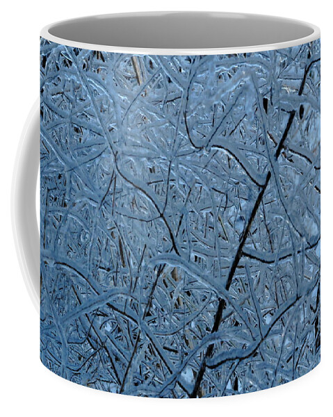 Ice Coffee Mug featuring the photograph Vegetation After Ice Storm by Daniel Reed