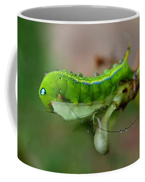 Animal Coffee Mug featuring the photograph Wet Caterpillar by Michelle Meenawong