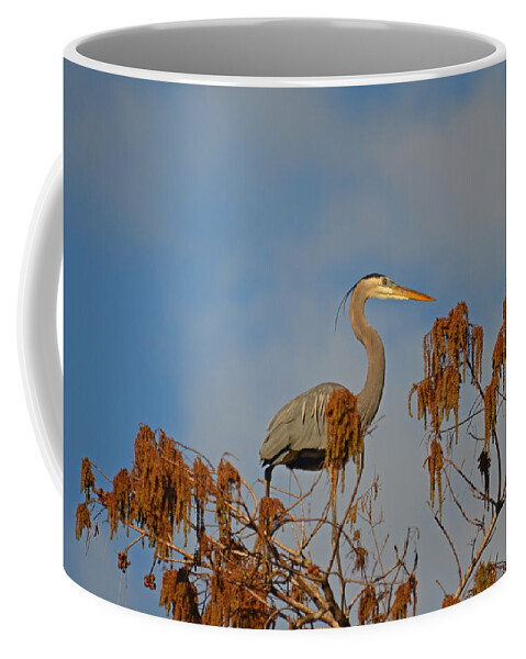 Great Blue Heron Coffee Mug featuring the photograph 7- Great Blue Heron #1 by Joseph Keane