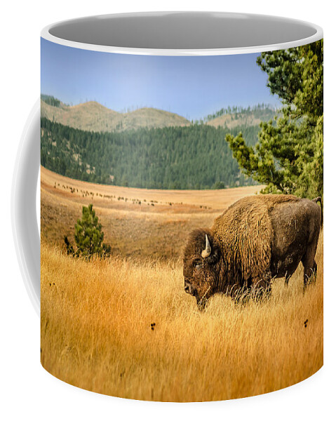 Dakota Coffee Mug featuring the photograph American Bison #2 by Greni Graph