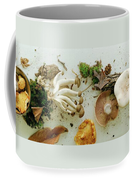 An Assortment Of Mushrooms Coffee Mug