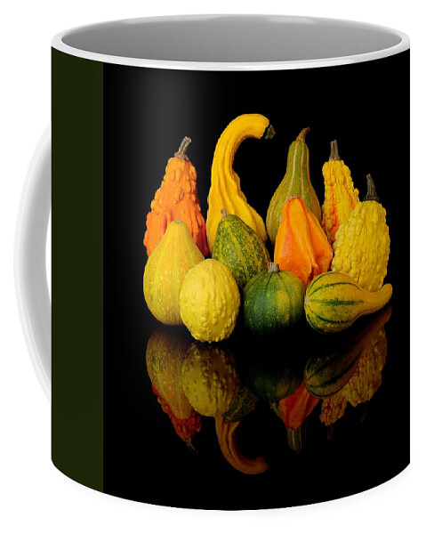 Autumn Coffee Mug featuring the photograph Autumn Harvest Gourds by Jim Hughes