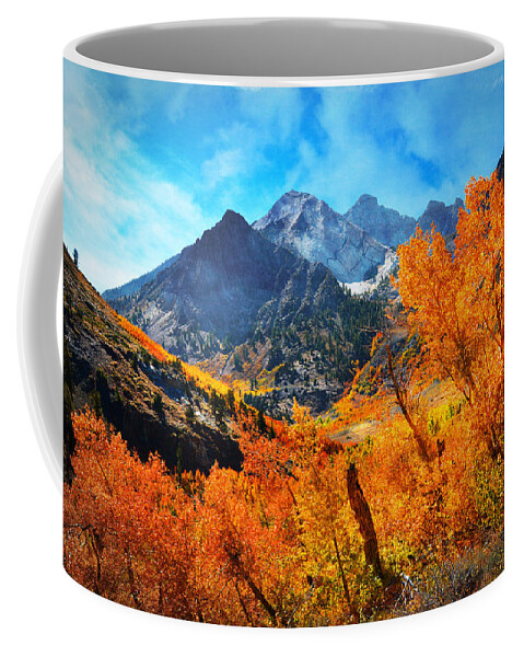 Aspen Coffee Mug featuring the photograph Autumns Glory #1 by Lynn Bauer