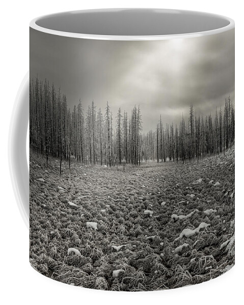B & W Coffee Mug featuring the photograph Awakening #2 by Sandra Bronstein