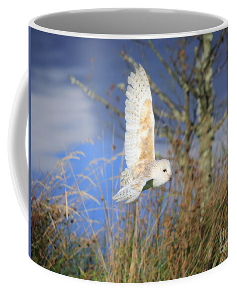 Barn Owl Coffee Mug featuring the photograph Barn Owl by Maria Gaellman
