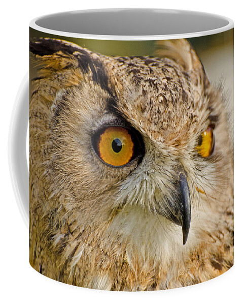 Bengal Owl Coffee Mug featuring the photograph Bengal Owl #1 by Chris Thaxter